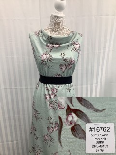 16762 SBRK green