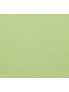 Satin-Shiny Satin Back Crepe Lime