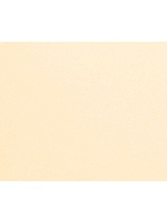 Crepe Back Satin Soft Apricot