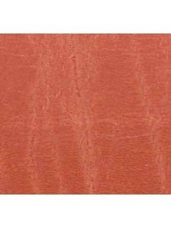Star Burst Crepe Burnt Orange